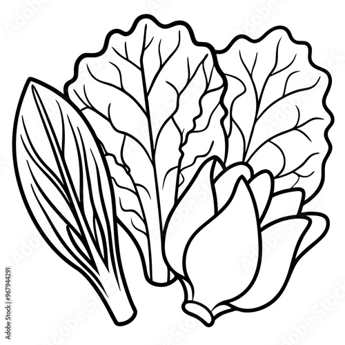 collard greens mustard greens bok choy vegetables outline coloring book page line art illustration digital drawing