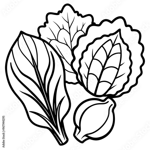 collard greens mustard greens bok choy vegetables outline coloring book page line art illustration digital drawing