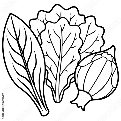 collard greens mustard greens bok choy vegetables outline coloring book page line art illustration digital drawing
