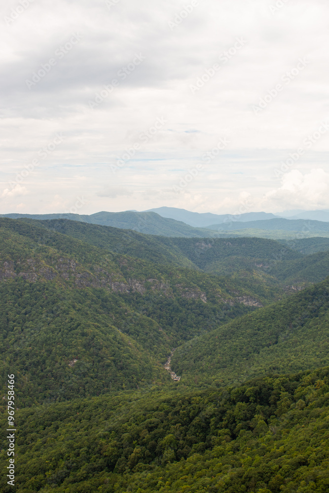 Fototapeta premium Linville Wilderness