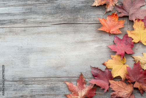 Wallpaper Mural Autumn leaves on a table with room for text Torontodigital.ca