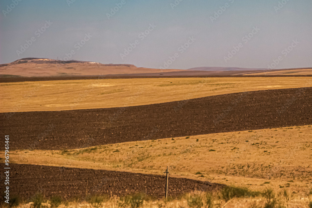 Obraz premium road in the field