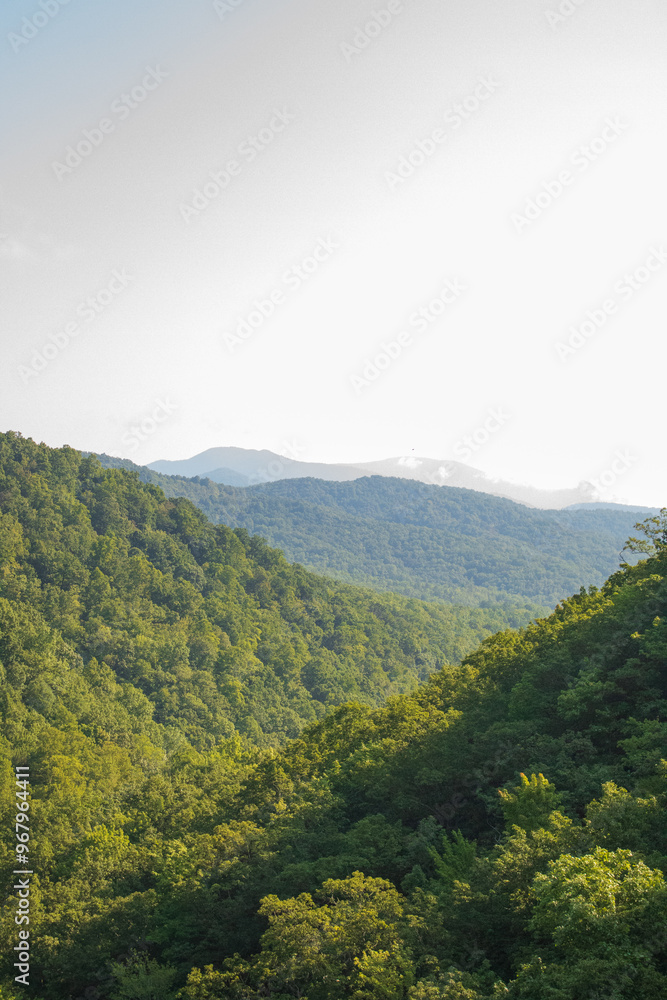 Fototapeta premium clouds in the mountains