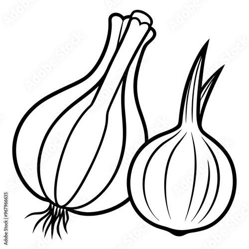 garlic leeks shallots vegetables outline coloring book page line art illustration digital drawing