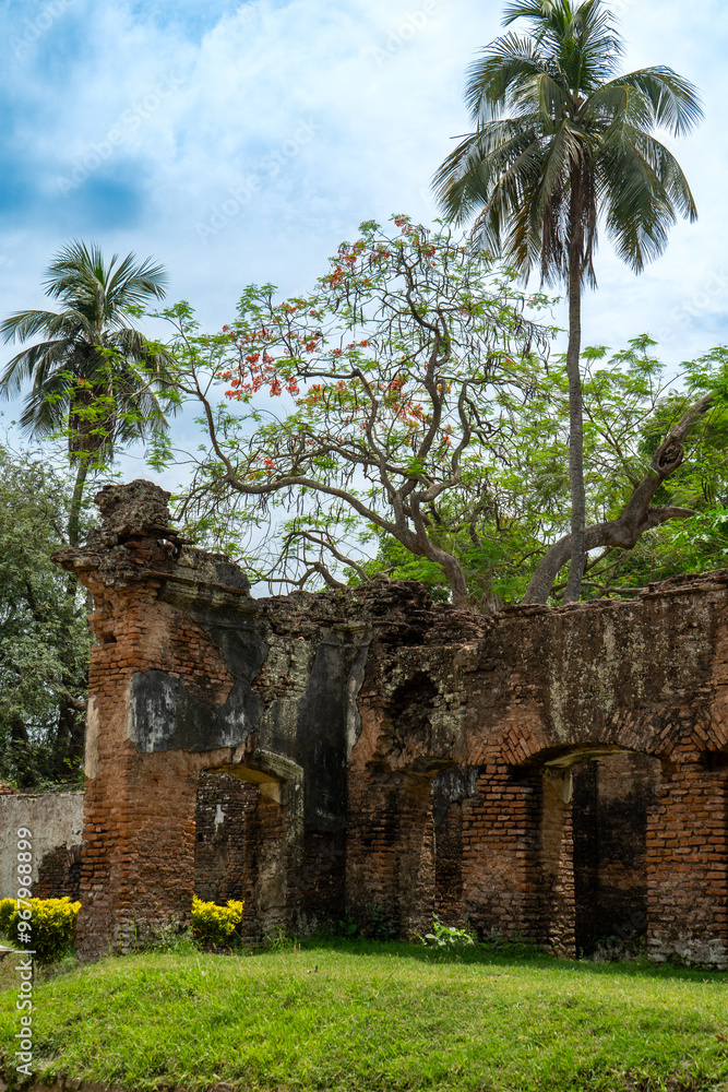 Tall palm tree rising above an abandoned old ruins, weathered brick wall under blue sky with scattered clouds, Puthia Temple Complex.