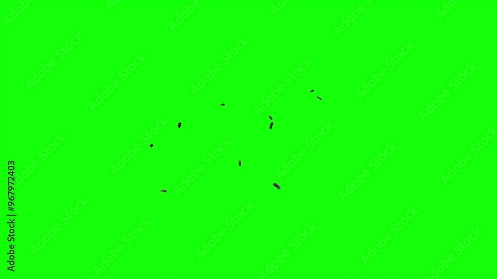Swarm of flies animation on a green background. Swarm of bees flying chaotically around. The concept of something stinky. Cloud of insects. Flying beetles or bugs