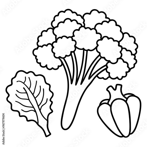 kale broccoli carrots vegetables outline coloring book page line art illustration digital drawing