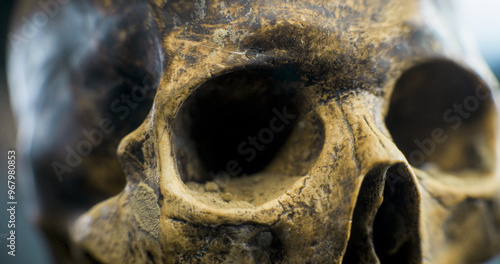 Skull of prehistoric man after excavation. Ancient fossil remains of extinct civilization during historical or scientific research. Archaeological artifact of antiquity. Archaeology concept. Close Up.