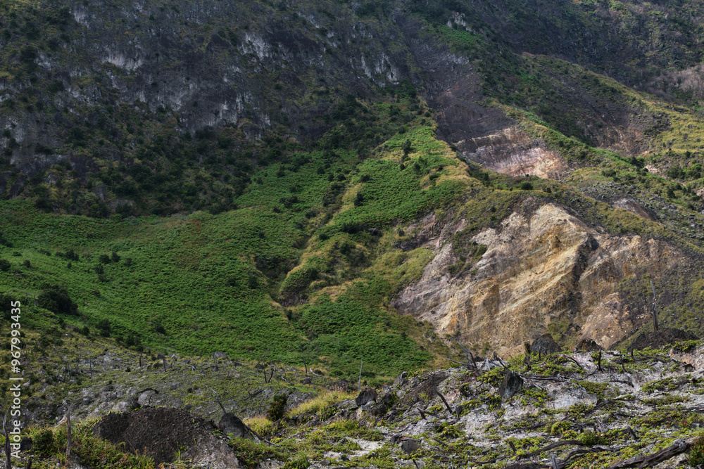Greenery Against Rugged Volcanic Terrain Greenery Against Rugged Volcanic Terrain
