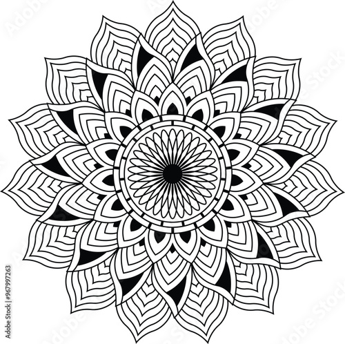 Vector hand drawn doodle mandala with ethnic ornaments.