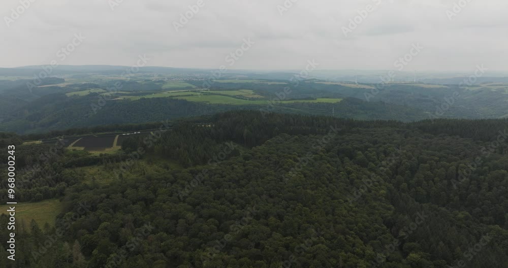Aerial view of serene and lush forest with expansive trees and tranquil horizon, Riol, Germany. Aerial view of serene and lush forest with expansive trees and tranquil horizon, Riol, Germany.