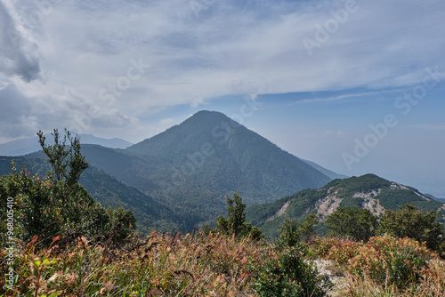 Serene Mountain View Framed by Wild Foliage