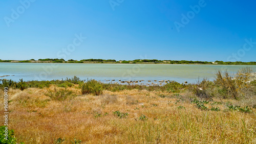 Riserva Naturale Salina Monaci, Torre Colimena,Taranto,Puglia,Italia