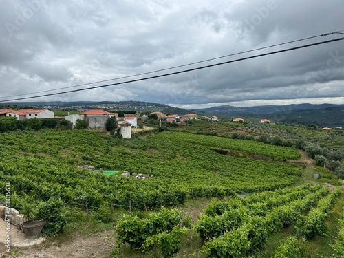 Duoro Valley vineyard