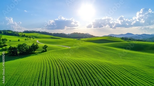 Morning Glory: Awe-Inspiring Aerial Vista of Tranquil Rural Scenery at Sunrise