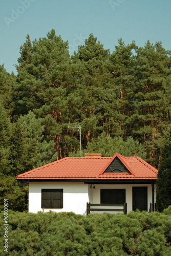 house in the woods forest