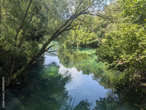 river in the forest