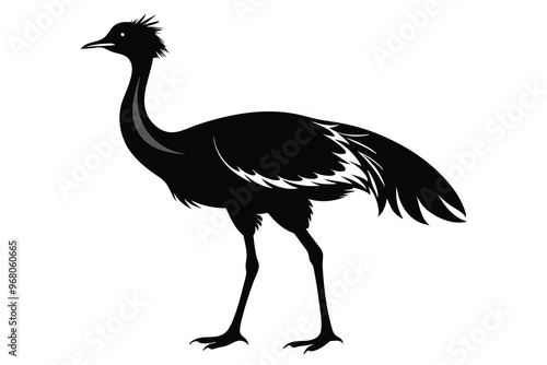 Kori Bustard clean silhouette color P.eps photo