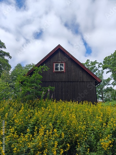 Old vintage wooden house, izba photo