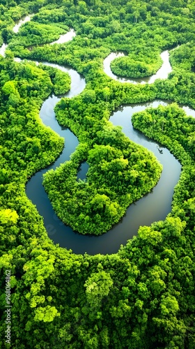 An aerial view of a lush tropical forest with winding rivers and patches of clearings, highlighting the biodiversity of the ecosystem