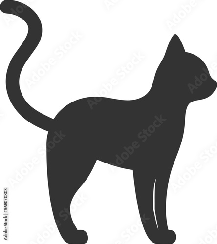 A black cat with a long tail is standing on a white background