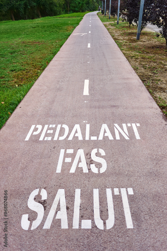 Obraz premium Bicycle lane promoting urban health