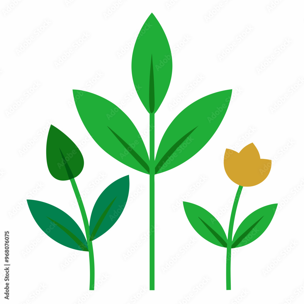 Fototapeta premium Plants and flower vector on white background
