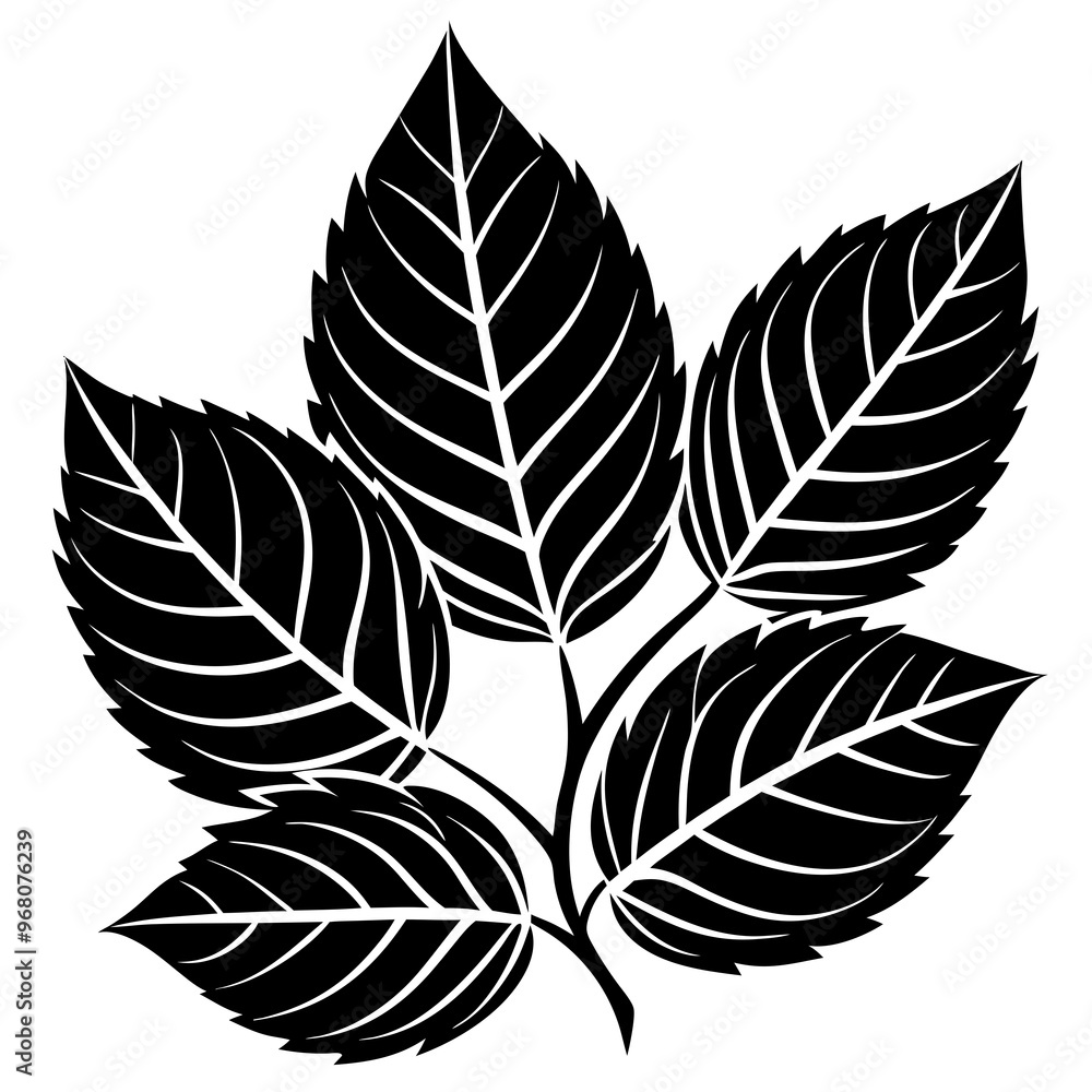Leaves vector isolated on white background Leaves vector isolated on white background
