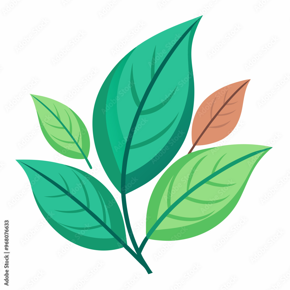 Leaves vector isolated on white background Leaves vector isolated on white background