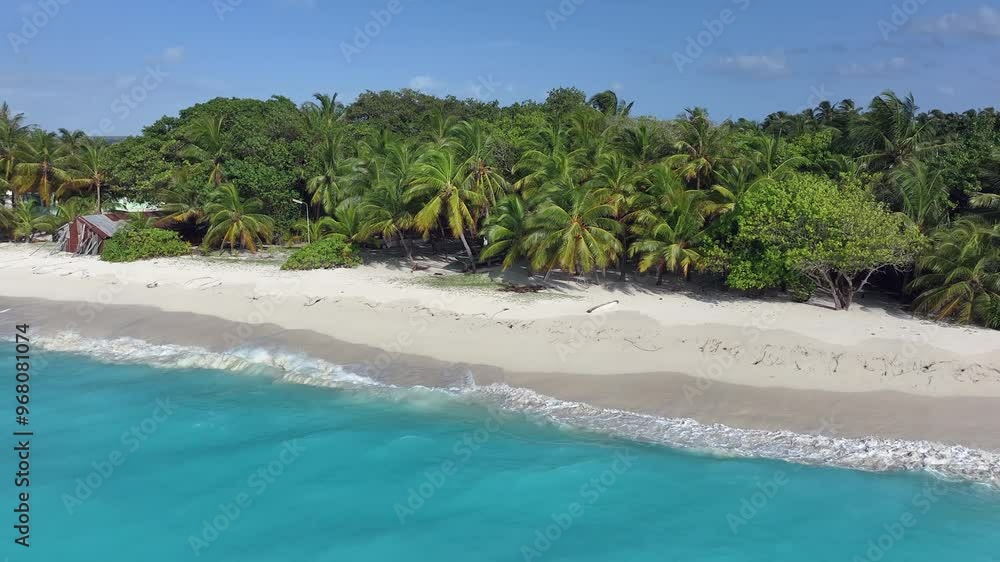Aerial view of tropical beach with palm trees and clear blue water, Vashafaru, Maldives. Aerial view of tropical beach with palm trees and clear blue water, Vashafaru, Maldives.