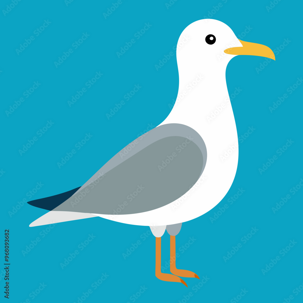 Fototapeta premium Shorebird Gull Vector Illustration