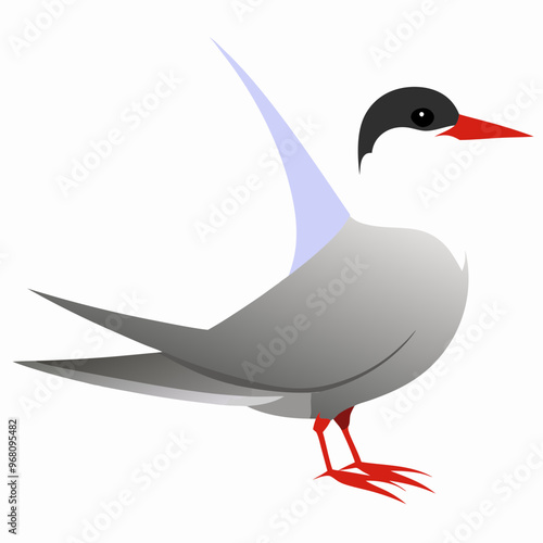 shorebirds tern vector illustration