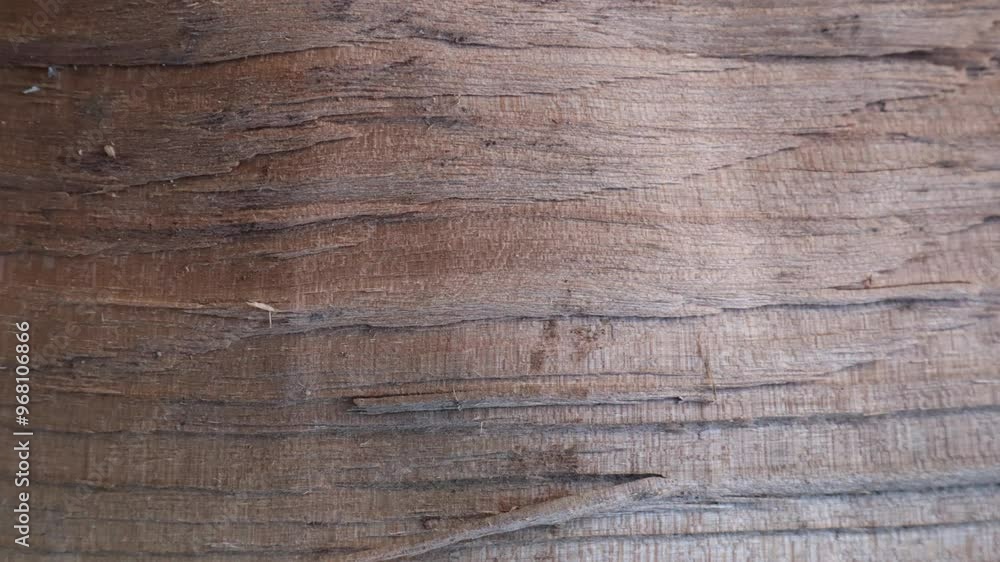 Motion graphics with autumn elements design on the wood texture screen Motion graphics with autumn elements design on the wood texture screen