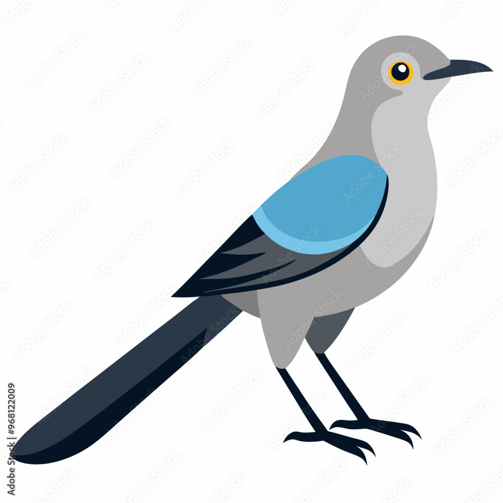 Obraz premium Vector design mockingbird