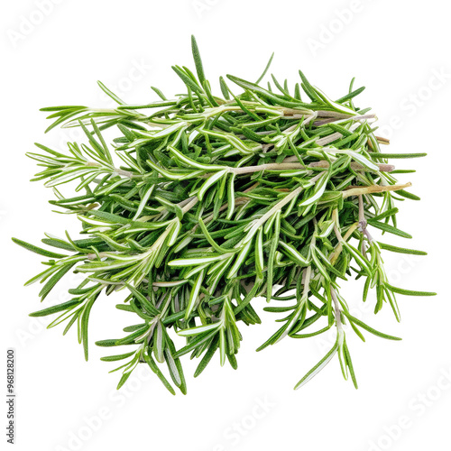 Fresh rosemary sprigs, ready to add a burst of flavor to your culinary creations.