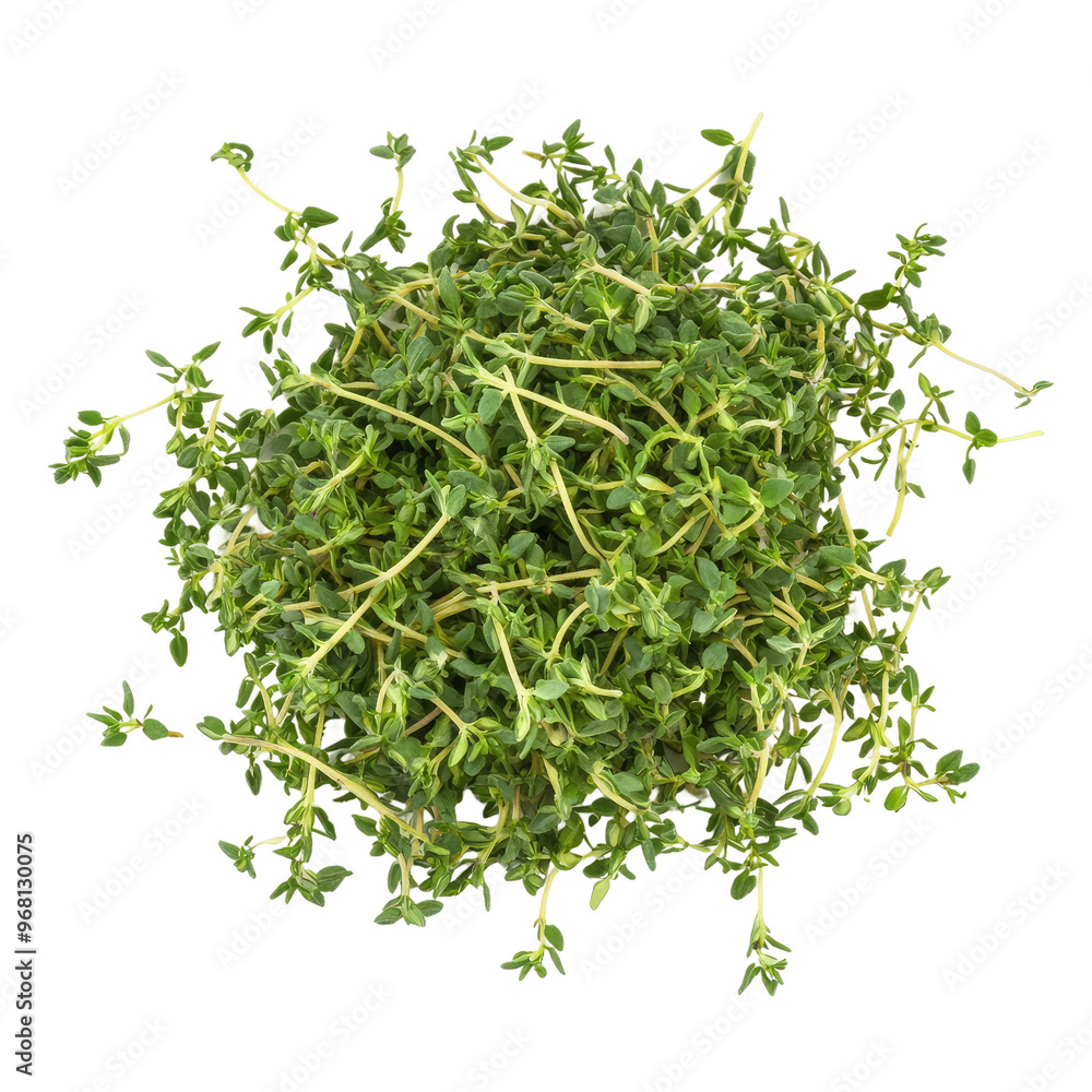 A bunch of fresh thyme sprigs, perfect for adding flavor to your favorite dishes. A bunch of fresh thyme sprigs, perfect for adding flavor to your favorite dishes.