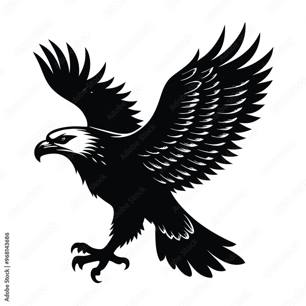 Obraz premium flying Eagle black and white illustration silhouette,