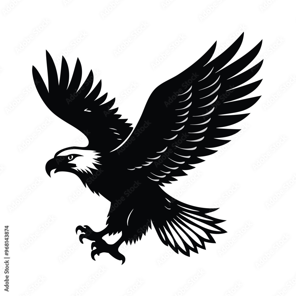 Fototapeta premium flying Eagle black and white illustration silhouette,