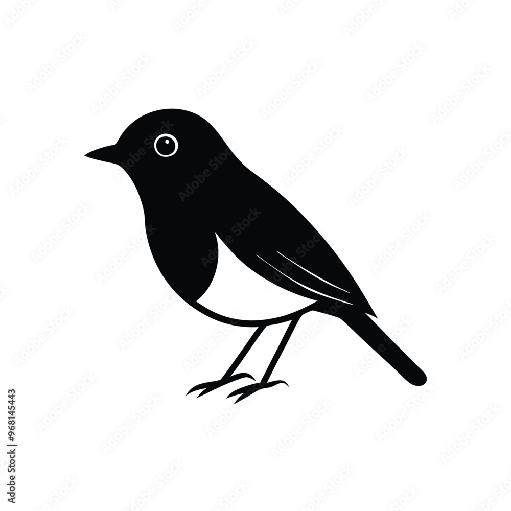 Fototapeta premium a robin silhouette vector illustration, vector silhouette, isolated white background, 