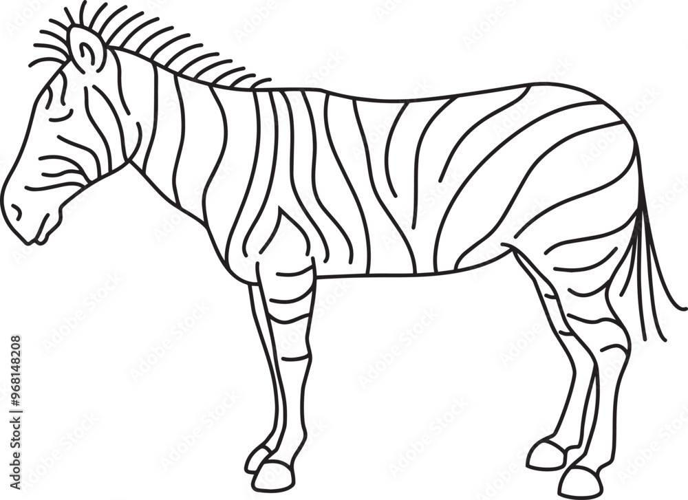 Zebra - vector black line drawing Zebra - vector black line drawing