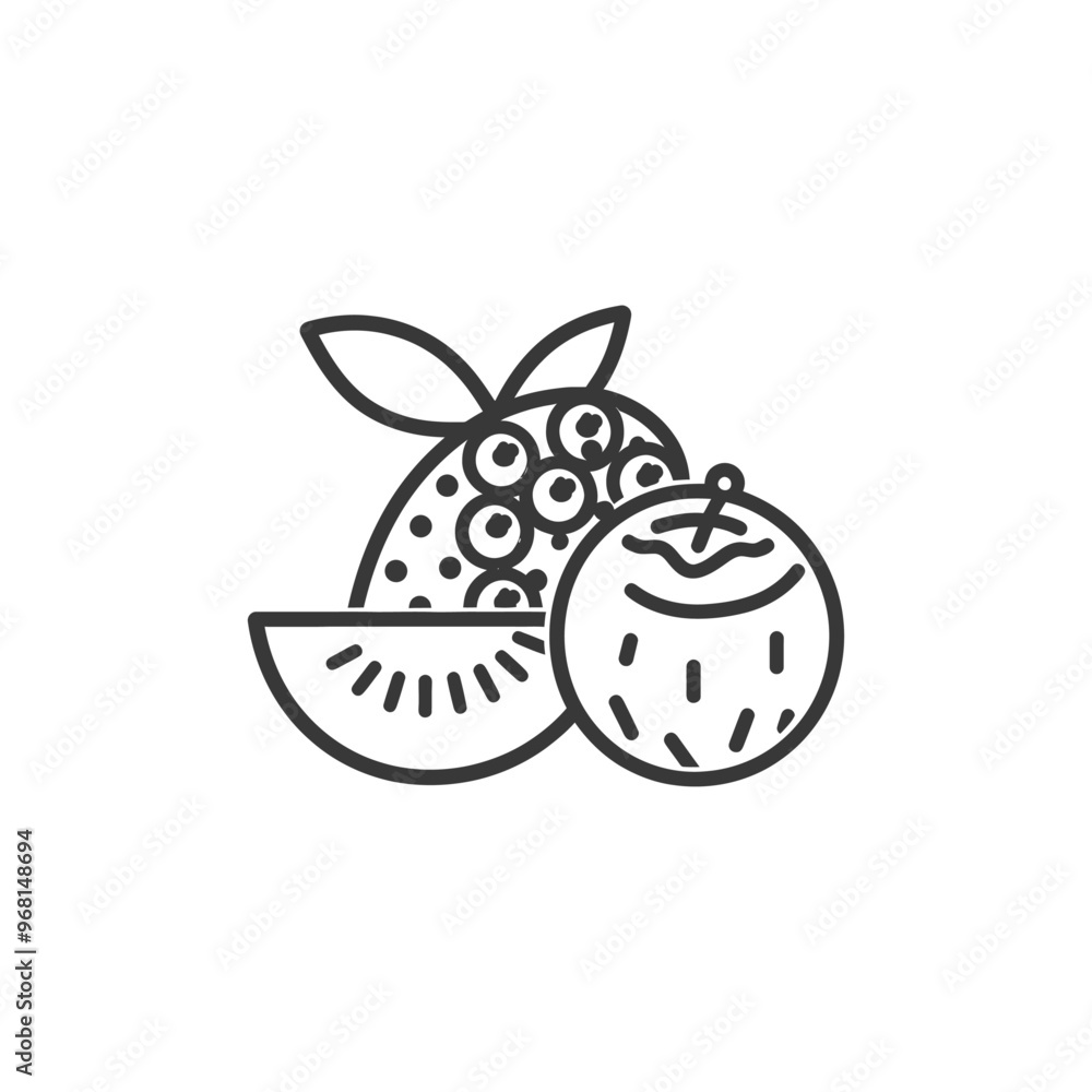Line Drawing of a Watermelon Slice Coconut and Lychee Line Drawing of a Watermelon Slice Coconut and Lychee