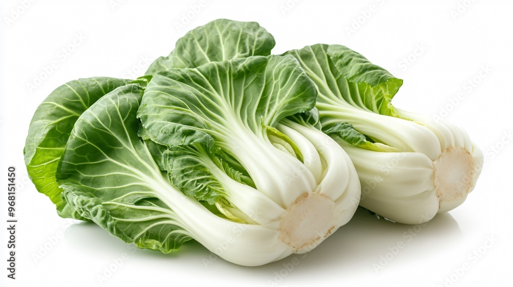 Fresh Green Bok Choy Chinese Cabbage Close Up in Natural Light Studio Photography Fresh Green Bok Choy Chinese Cabbage Close Up in Natural Light Studio Photography