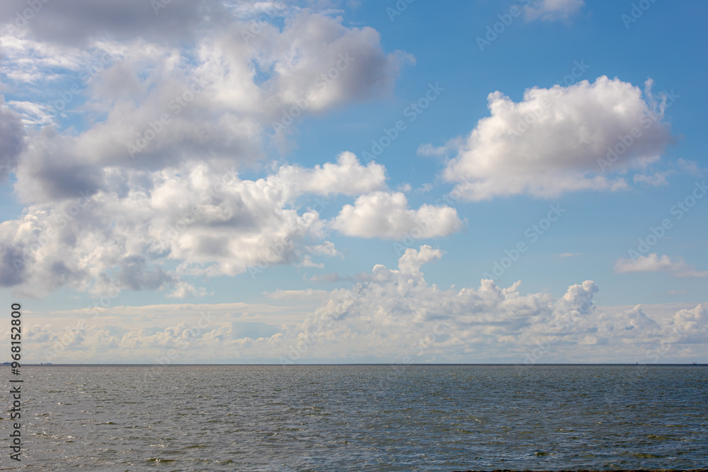 Fototapeta premium Summer landscape, Dutch coastal under blue sky and white clouds, The north sea part of the Atlantic Ocean between Britain, Belgium, the Netherlands, Germany, Scandinavia and France, Nature background.