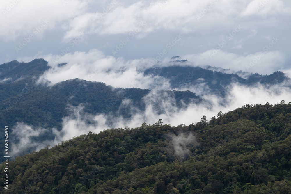 Serene mountain landscape with lush greenery and misty clouds, creating a tranquil atmosphere in nature's beauty. Serene mountain landscape with lush greenery and misty clouds, creating a tranquil atmosphere in nature's beauty.
