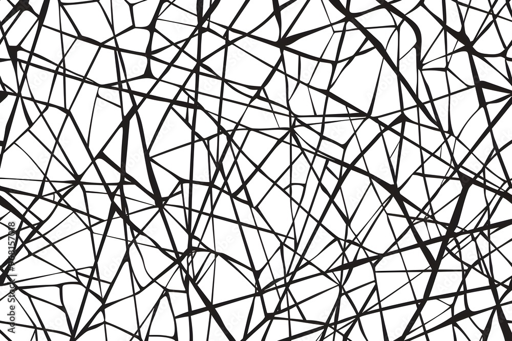Obraz premium Abstract Black and White Line Pattern Design