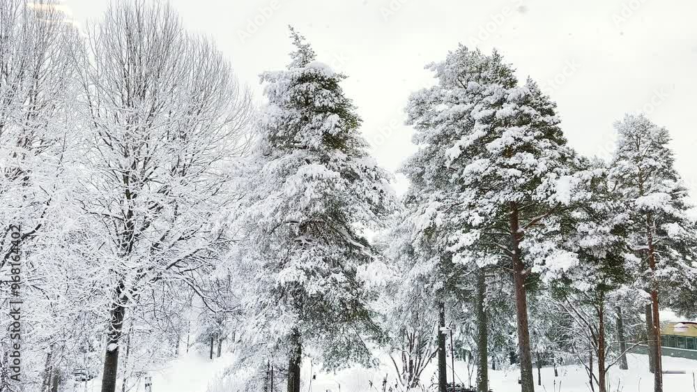Beautiful snowfall in 4K video in nature background with branched trees around during the Winter. Cold weather. 4K copyspace. Beautiful snowfall in 4K video in nature background with branched trees around during the Winter. Cold weather. 4K copyspace.