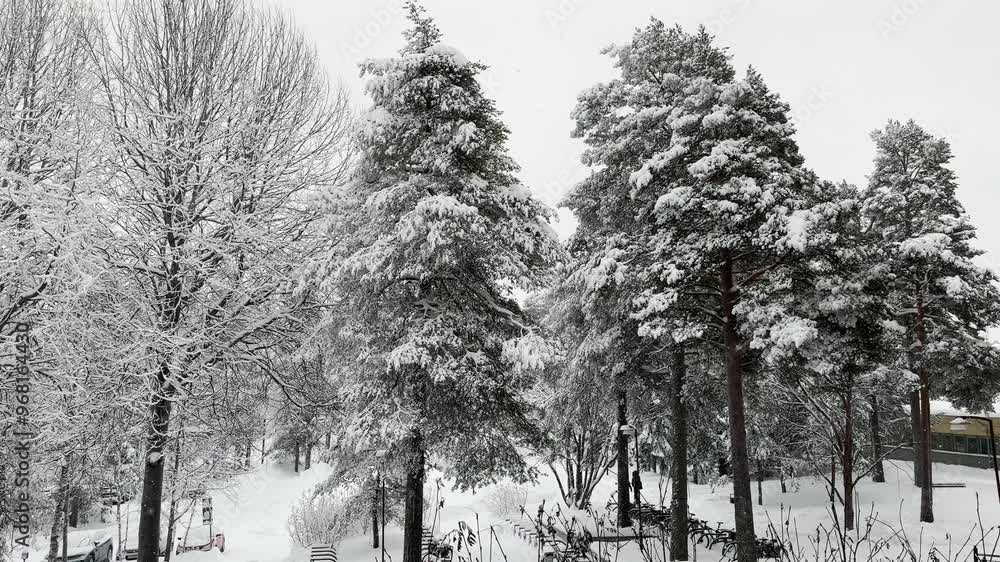 Beautiful snowfall in 4K video in nature background with branched trees around during the Winter. Cold weather. 4K copyspace.