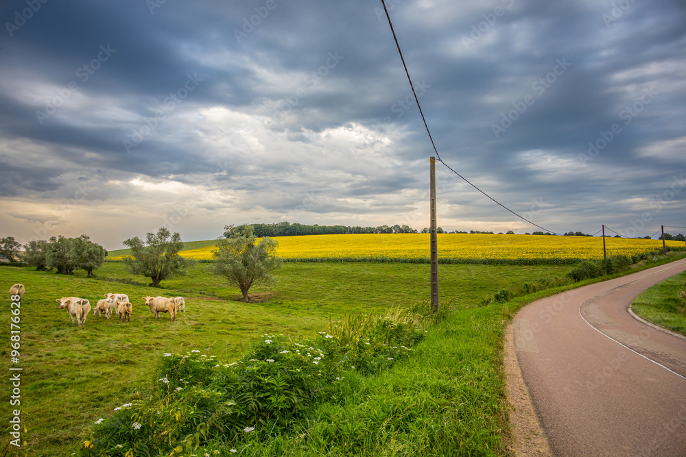 Paysage de campagne Française en Bourgogne-Franche-Comté