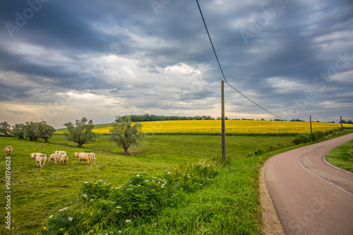 Obraz na płótnie Paysage de campagne Française en Bourgogne-Franche-Comté w salonie