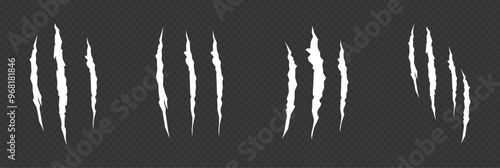 White traces of animal claws. Traces of predator claws. Realistic set of animal claws.